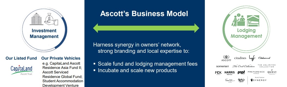 Ascott's business model